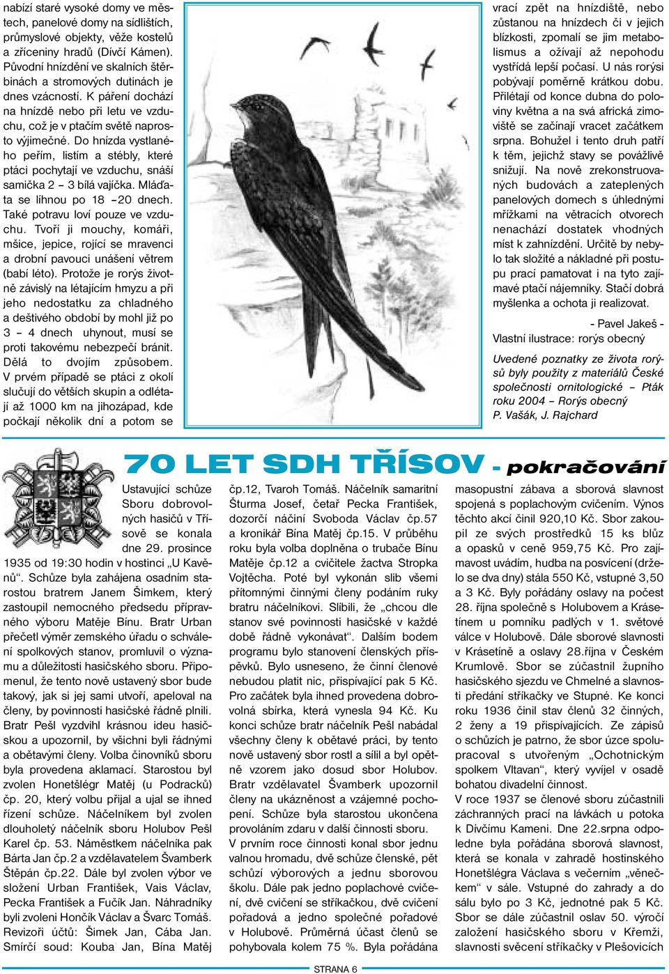 Do hnízda vystlaného peřím, listím a stébly, které ptáci pochytají ve vzduchu, snáší samička 2 3 bílá vajíčka. Mláďata se líhnou po 18 20 dnech. Také potravu loví pouze ve vzduchu.