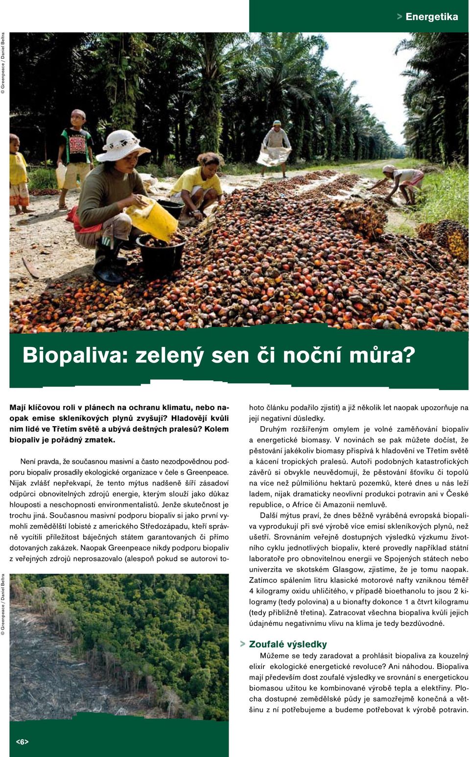 > Není pravda, že současnou masivní a často nezodpovědnou podporu biopaliv prosadily ekologické organizace v čele s Greenpeace.