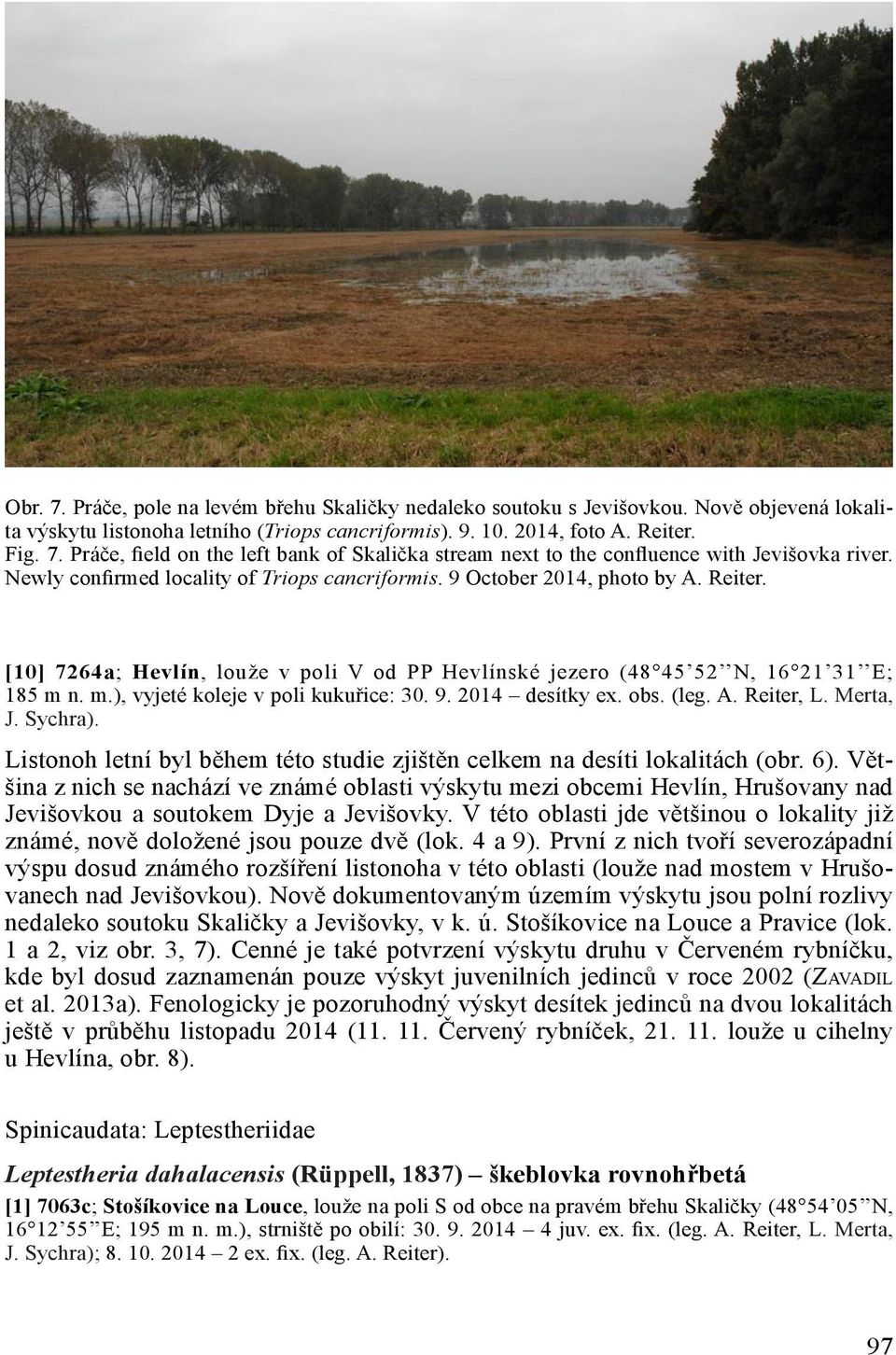 n. m.), vyjeté koleje v poli kukuřice: 30. 9. 2014 desítky ex. obs. (leg. A. Reiter, L. Merta, J. Sychra). Listonoh letní byl během této studie zjištěn celkem na desíti lokalitách (obr. 6).