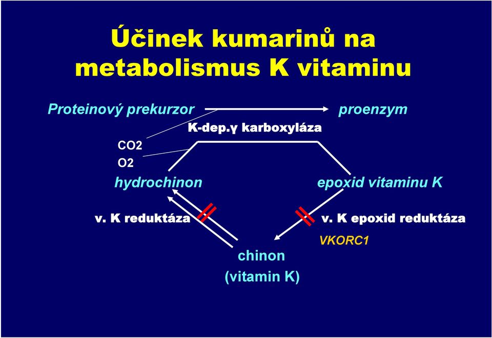 γ karboxyláza CO2 O2 hydrochinon epoxid