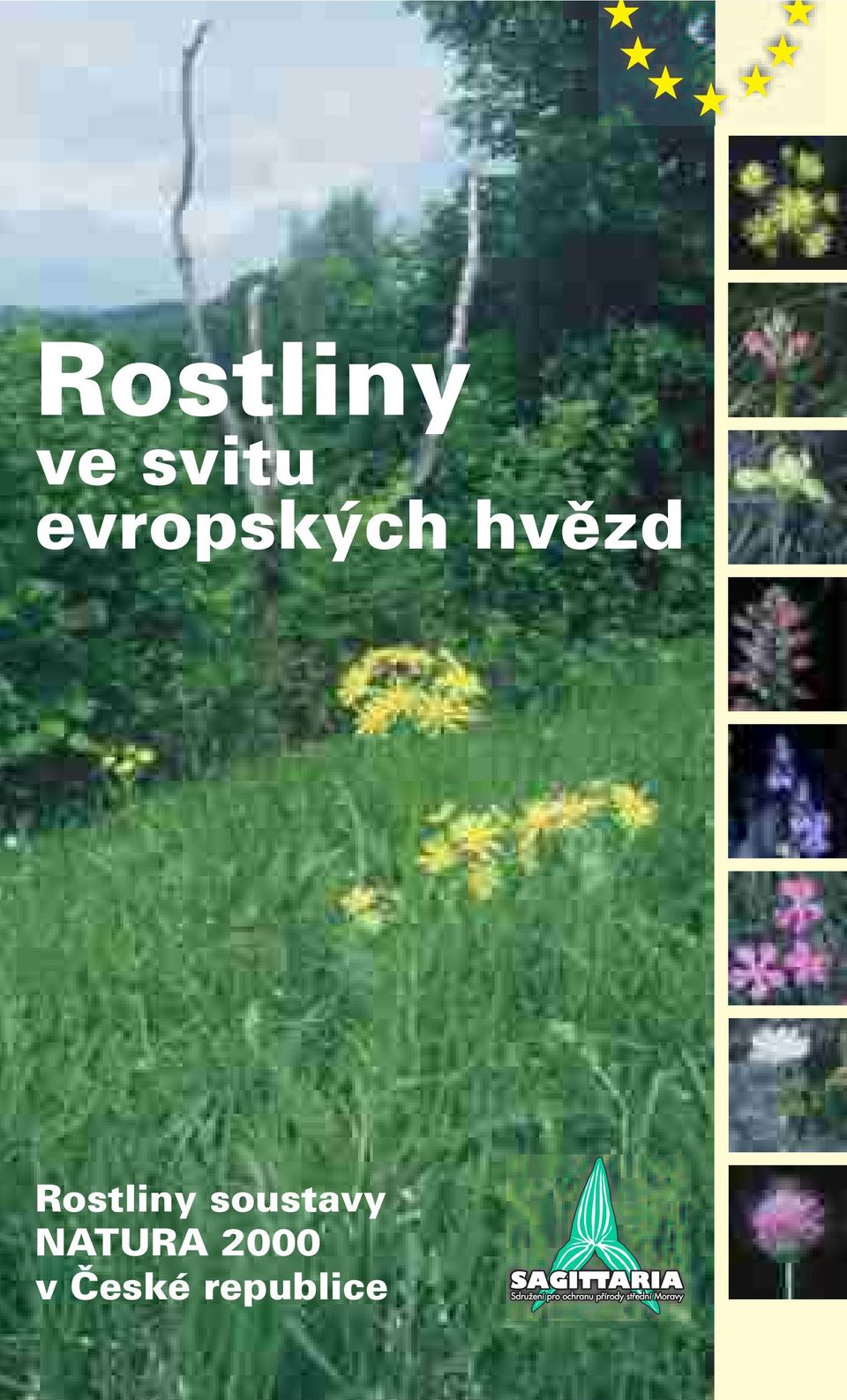 Rostliny soustavy