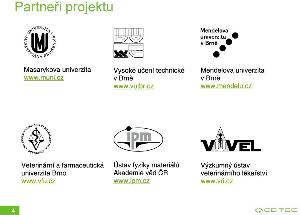 projektu