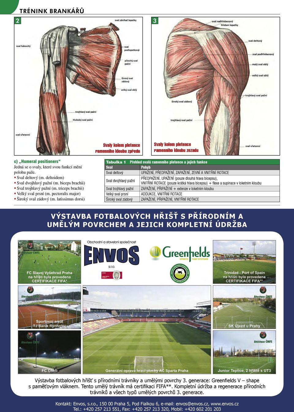 latissimus dorsi) Tabulka 1 Přehled svalů ramenního pletence a jejich funkce Sval Pohyb Sval deltový UPAŽENÍ, PŘEDPAŽENÍ, ZAPAŽENÍ, ZEVNÍ A VNITŘNÍ ROTACE Sval dvojhlavý pažní PŘEDPAŽENÍ, UPAŽENÍ