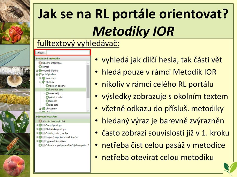 Metodik IOR nikoliv v rámci celého RL portálu výsledky zobrazuje s okolním textem včetně odkazu