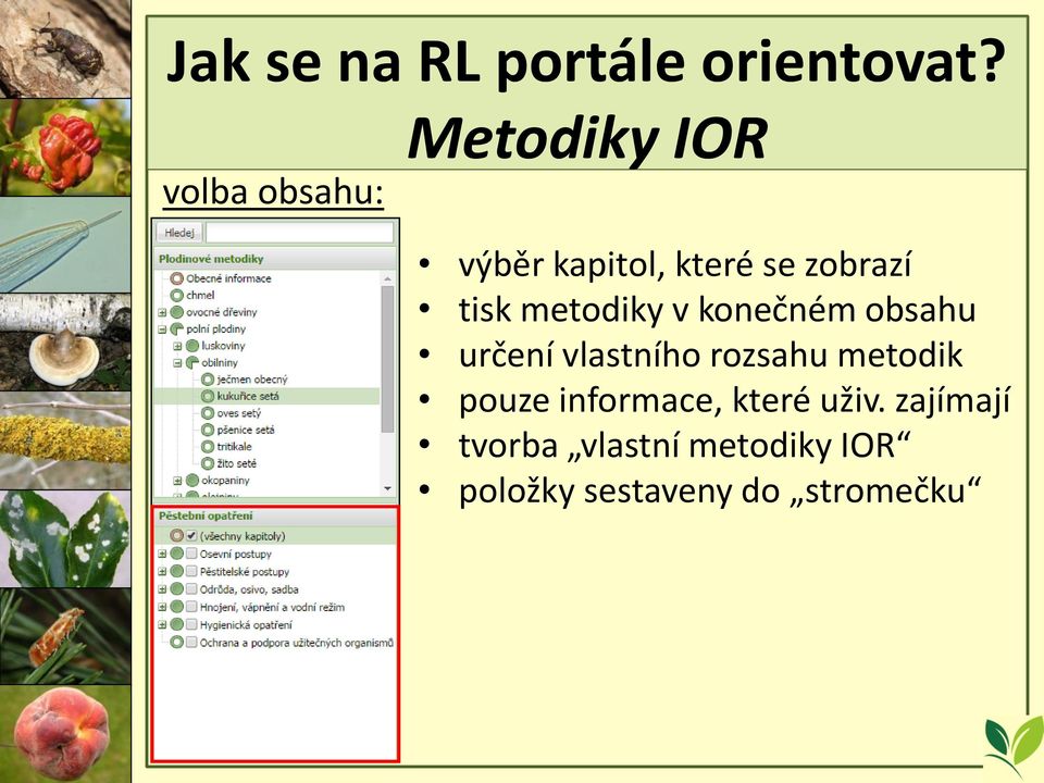 metodiky v konečném obsahu určení vlastního rozsahu metodik