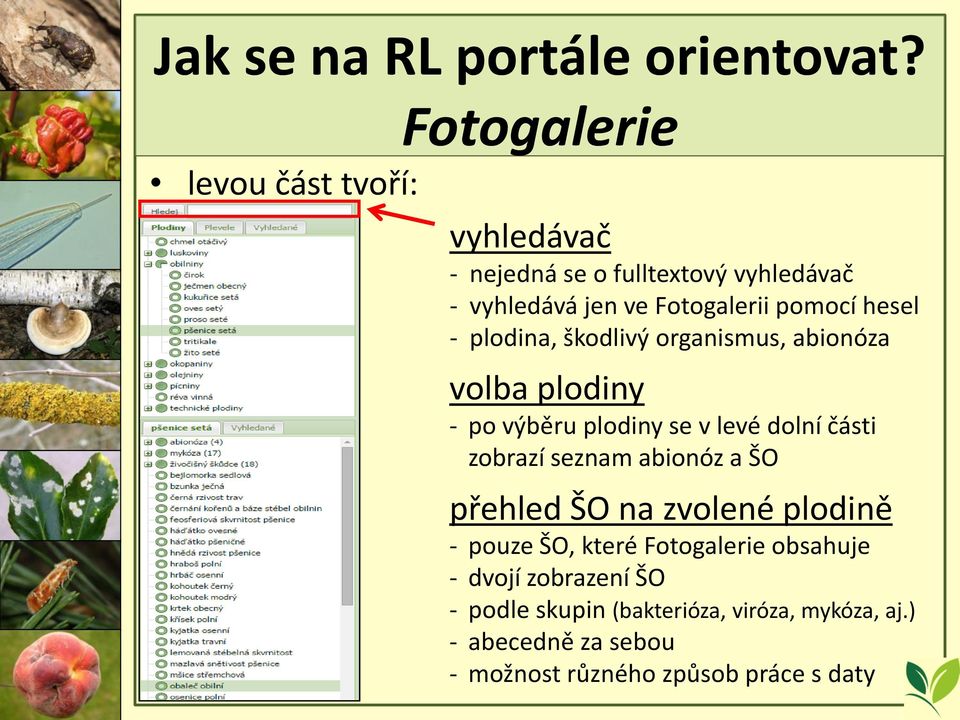 hesel - plodina, škodlivý organismus, abionóza volba plodiny - po výběru plodiny se v levé dolní části zobrazí seznam