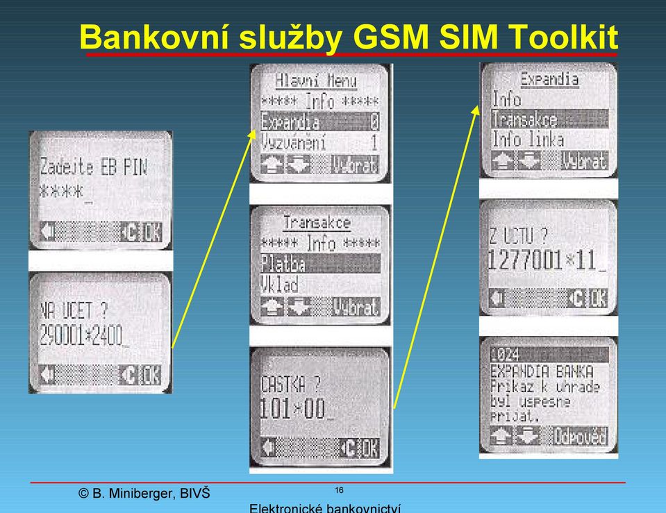 GSM SIM