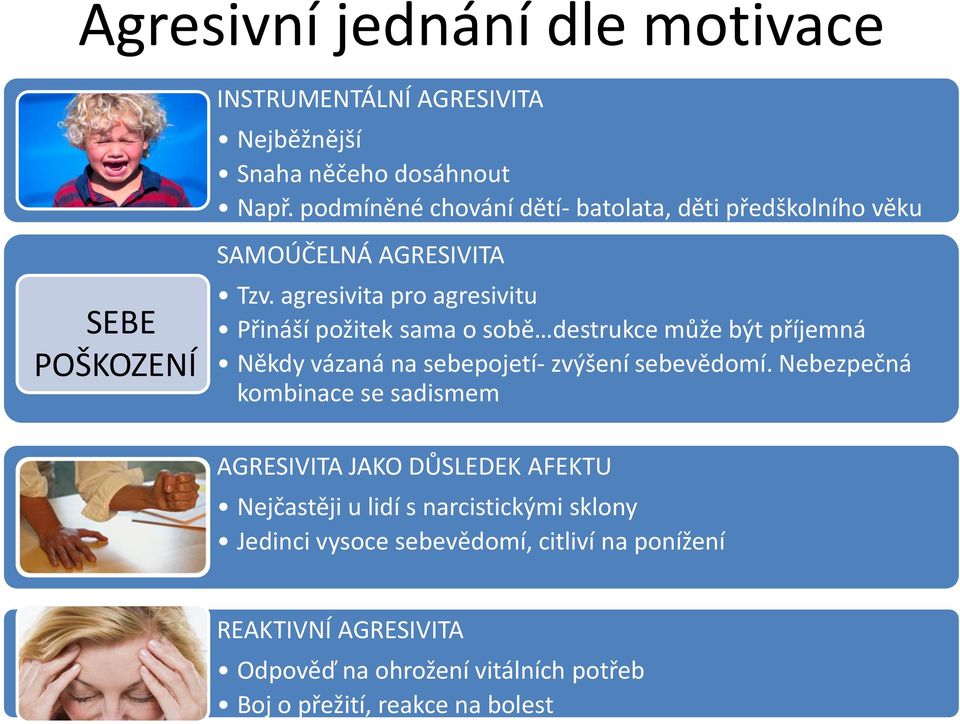 agresivita pro agresivitu Přináší požitek sama o sobě destrukce může být příjemná Někdy vázaná na sebepojetí- zvýšení sebevědomí.