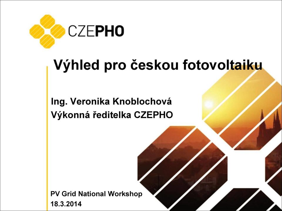 Veronika Knoblochová Výkonná