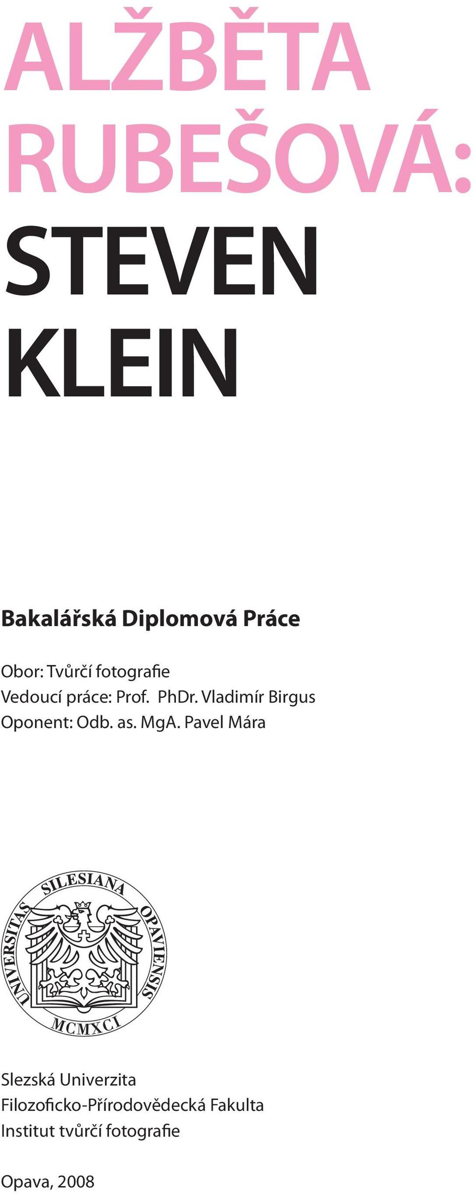 Vladimír Birgus Oponent: Odb. as. MgA.