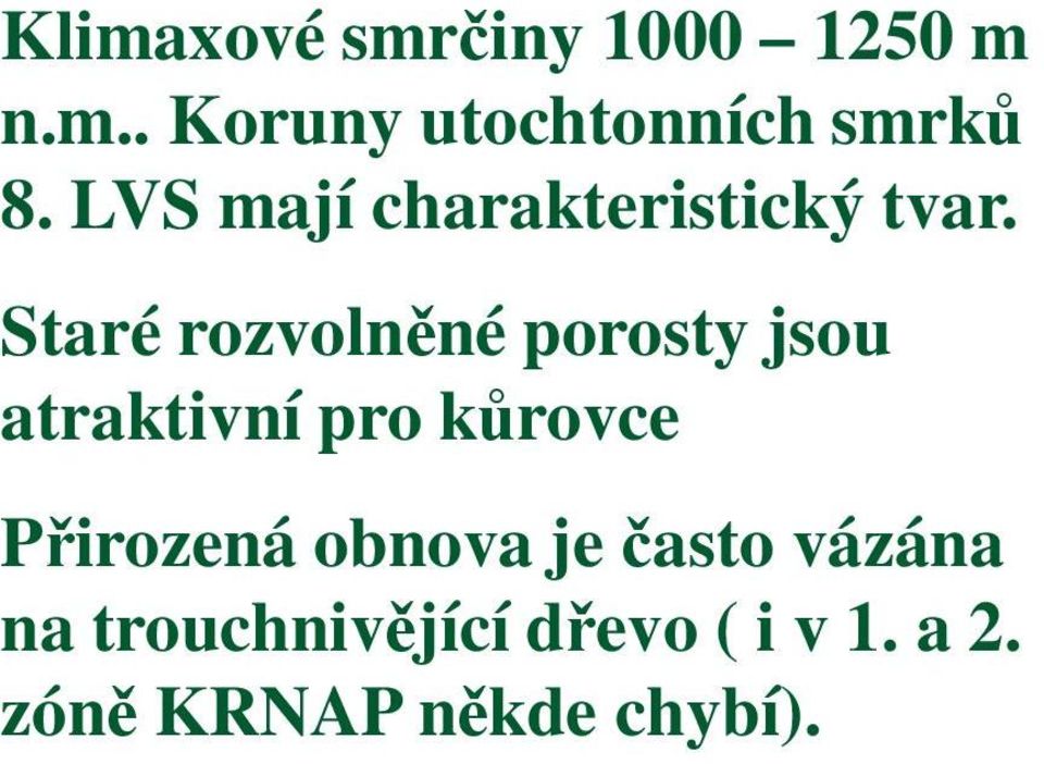 Staré rozvolněné porosty jsou atraktivní pro kůrovce