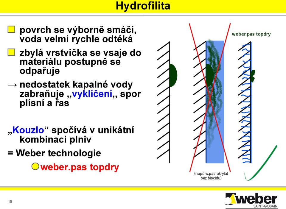 nedostatek kapalné vody zabraňuje,,vyklíčení,, spor plísní a řas