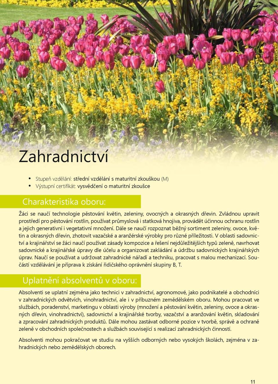 Dále se nau í rozpoznat b žný sortiment zeleniny, ovoce, kv tin a okrasných d evin, zhotovit vaza ské a aranžérské výrobky pro r zné p íležitosti.