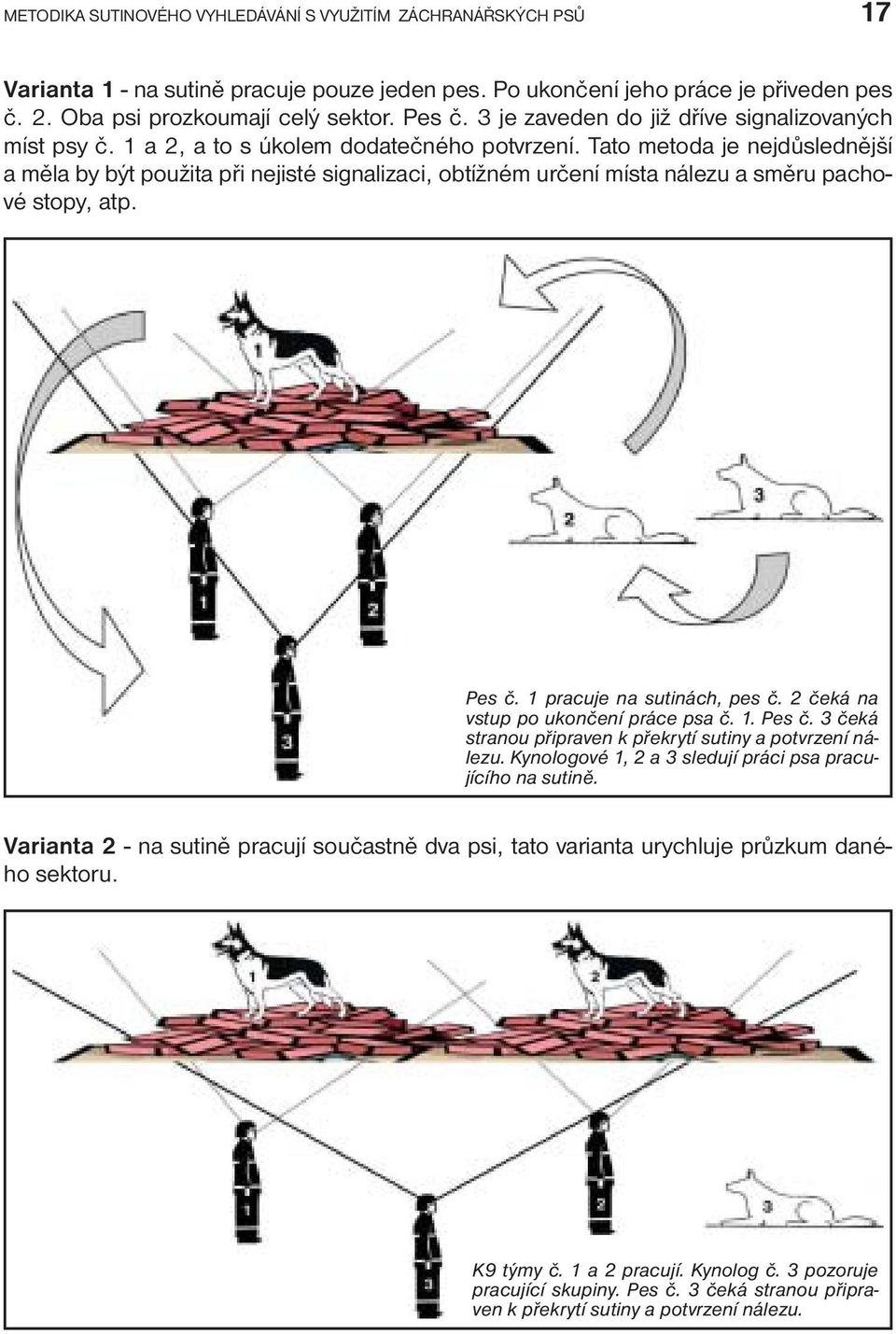 Tato metoda je nejdůslednější a měla by být použita při nejisté signalizaci, obtížném určení místa nálezu a směru pachové stopy, atp. Pes č. 1 pracuje na sutinách, pes č.