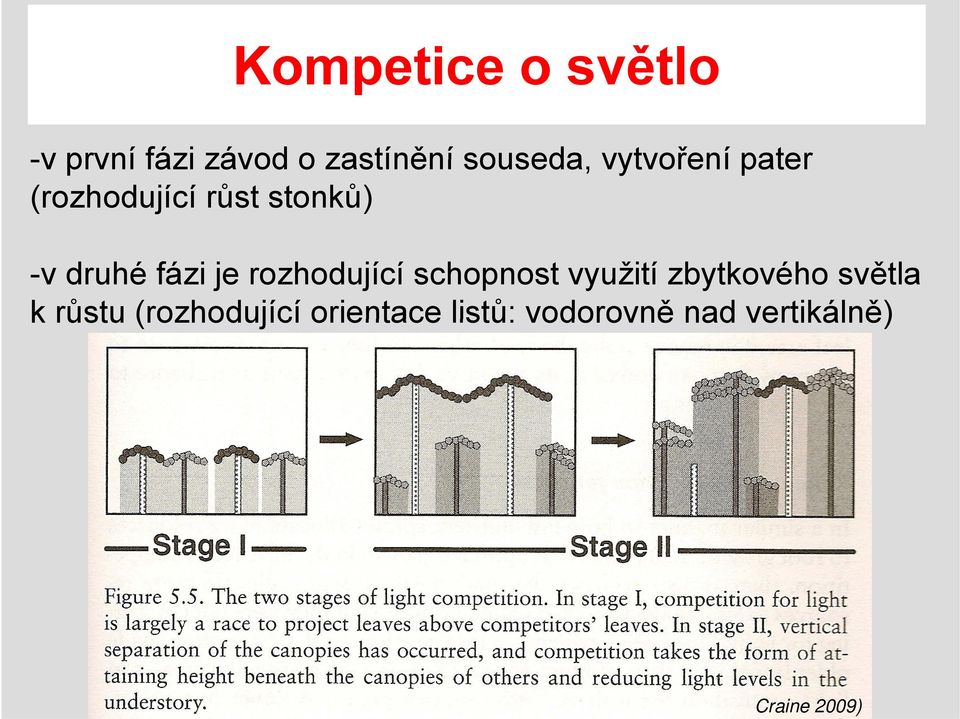 -v druhé fázi je rozhodující schopnost využití zbytkového