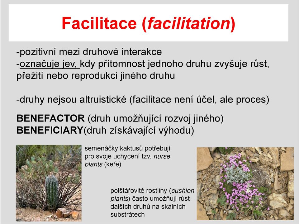 (druh umožňující rozvoj jiného) BENEFICIARY(druh získávající výhodu) semenáčky kaktusů potřebují pro svoje uchycení
