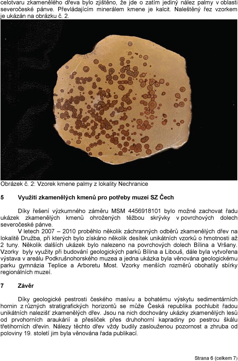 2: Vzorek kmene palmy z lokality Nechranice 5 Využití zkamenělých kmenů pro potřeby muzeí SZ Čech Díky řešení výzkumného záměru MSM 4456918101 bylo možné zachovat řadu ukázek zkamenělých kmenů