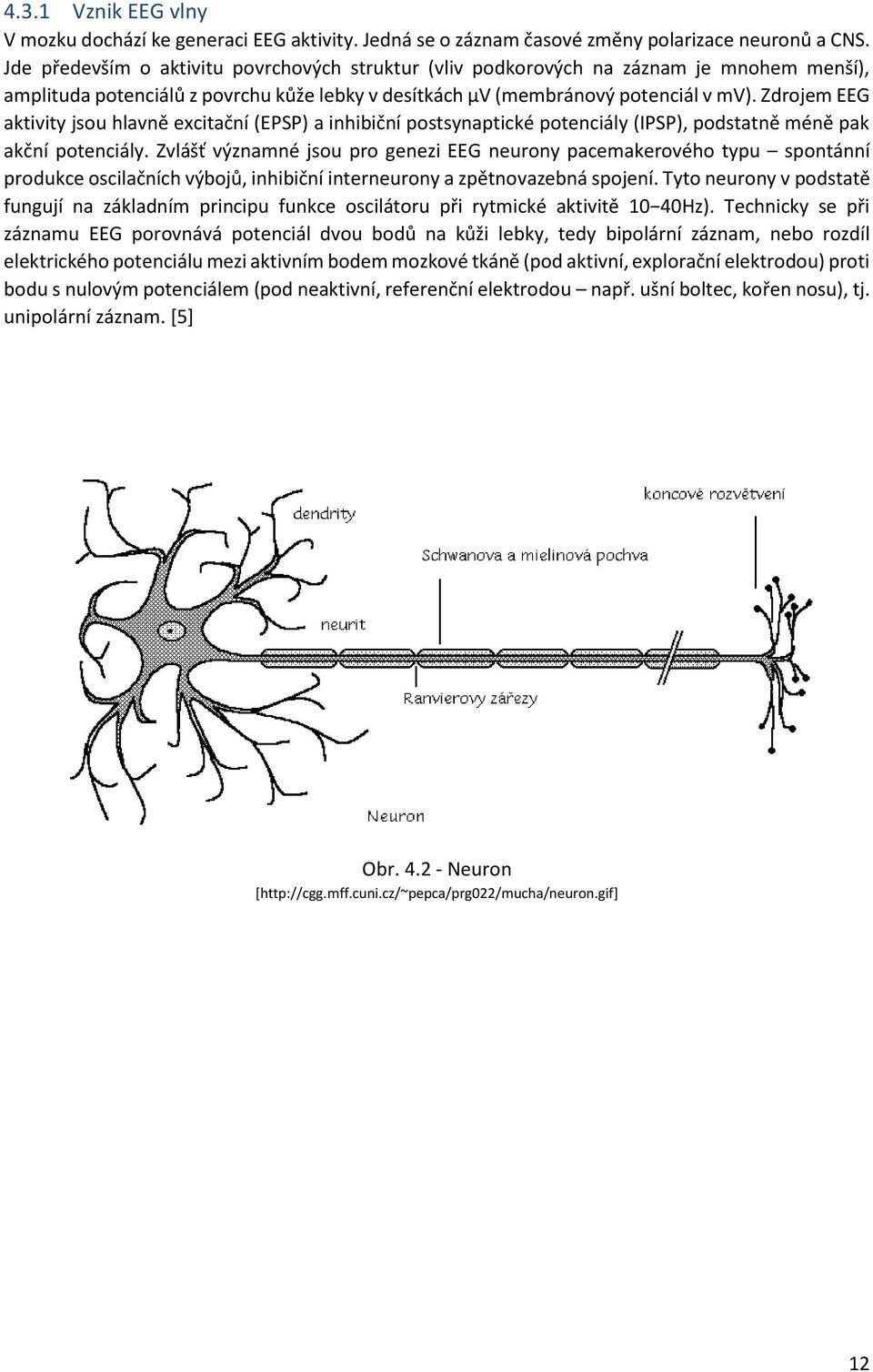 Zdrojem EEG aktivity jsou hlavně excitační (EPSP) a inhibiční postsynaptické potenciály (IPSP), podstatně méně pak akční potenciály.