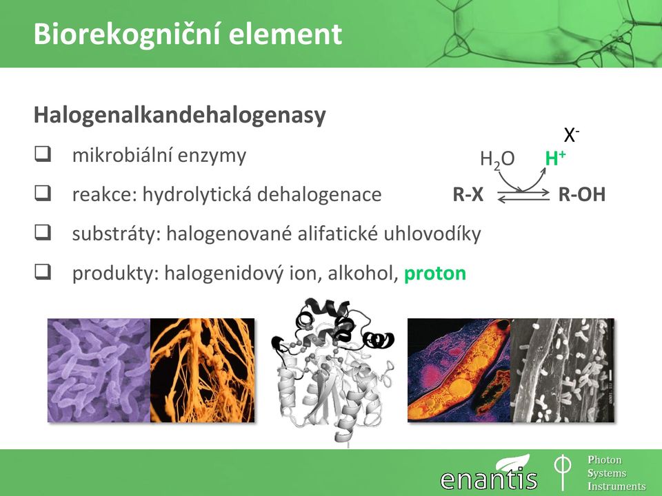 dehalogenace R-X substráty: halogenované alifatické
