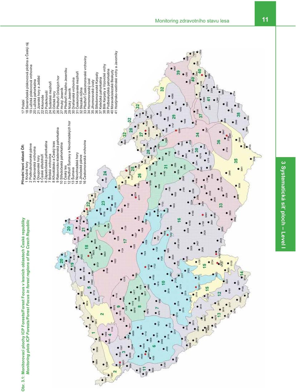 forest regions of the