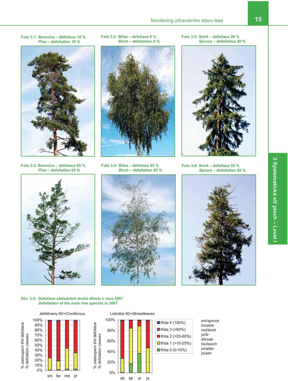 Defoliation of the main tree species in 2007 % defolation classes