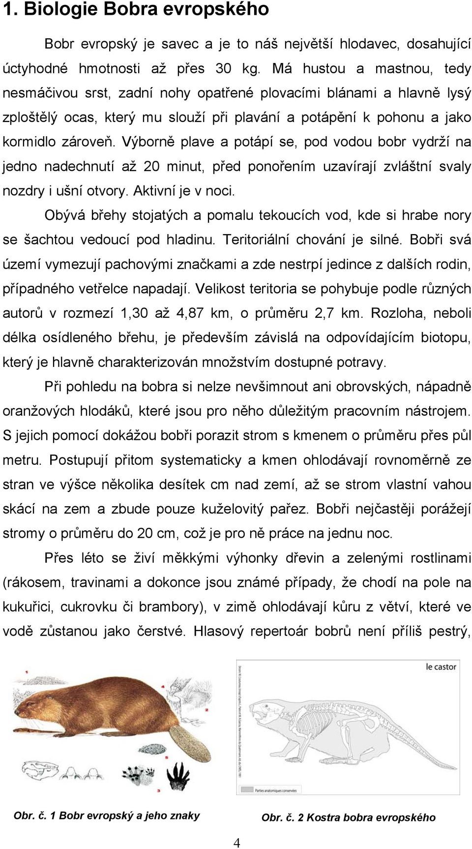 Výborně plave a potápí se, pod vodou bobr vydrží na jedno nadechnutí až 20 minut, před ponořením uzavírají zvláštní svaly nozdry i ušní otvory. Aktivní je v noci.