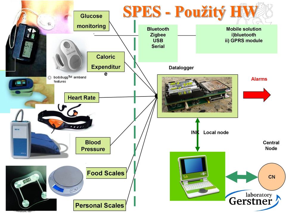 Caloric Expenditur e Datalogger Alarms Heart Rate Blood