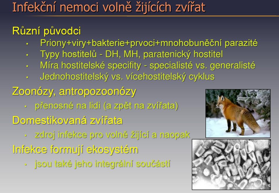 generalisté Jednohostitelský vs.