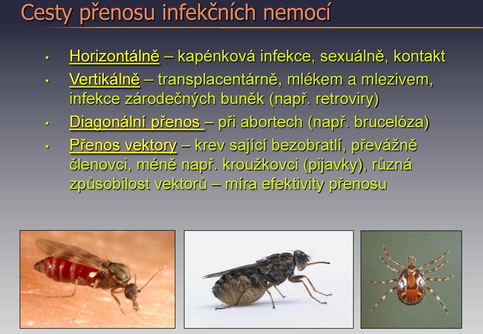 retroviry) Diagonální přenos při abortech (např.