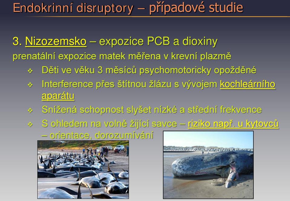 věku 3 měsíců psychomotoricky opožděné Interference přes štítnou žlázu s vývojem