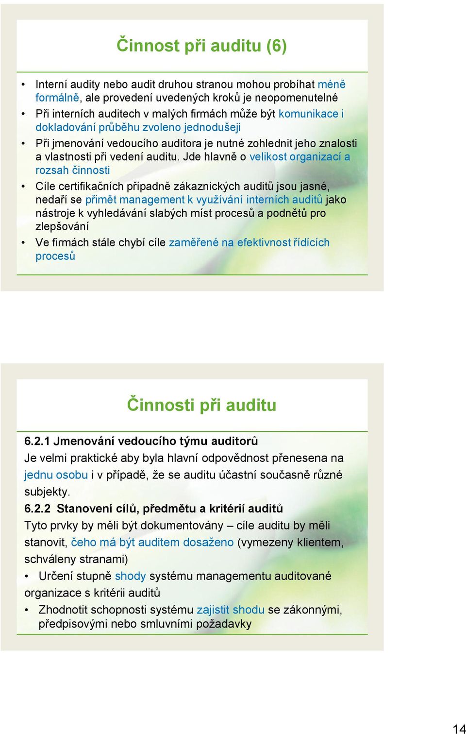 Jde hlavně o velikost organizací a rozsah činnosti Cíle certifikačních případně zákaznických auditů jsou jasné, nedaří se přimět management k využívání interních auditů jako nástroje k vyhledávání