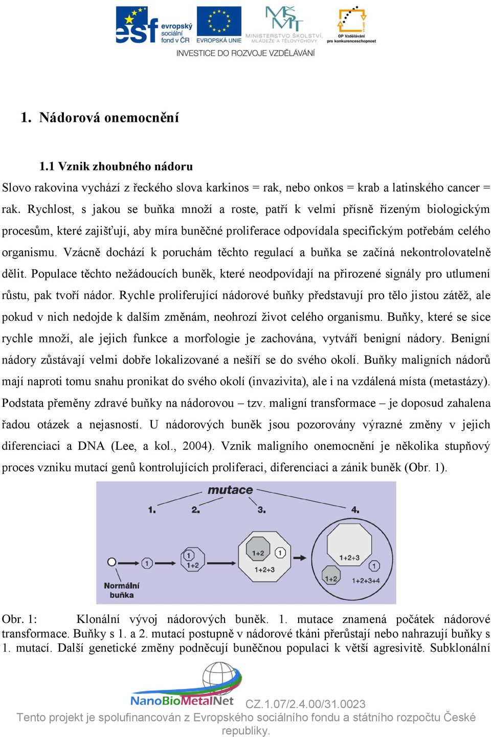 Vzácně dochází k poruchám těchto regulací a buňka se začíná nekontrolovatelně dělit. Populace těchto nežádoucích buněk, které neodpovídají na přirozené signály pro utlumení růstu, pak tvoří nádor.