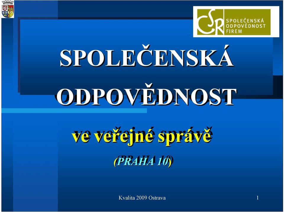 veřejné ejné správě