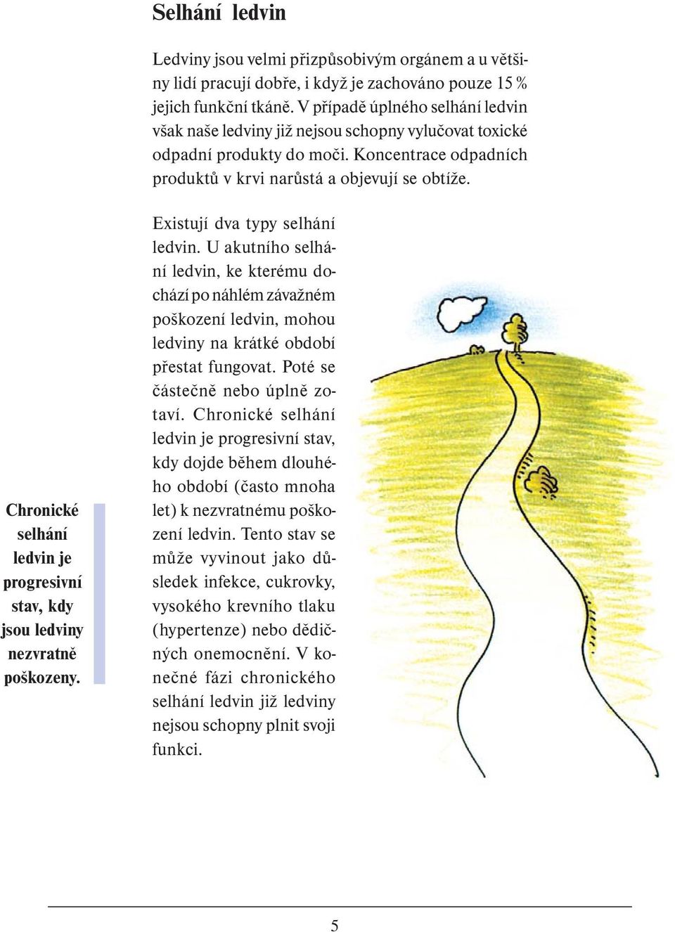 Chronické selhání ledvin je progresivní stav, kdy jsou ledviny nezvratně poškozeny. Existují dva typy selhání ledvin.