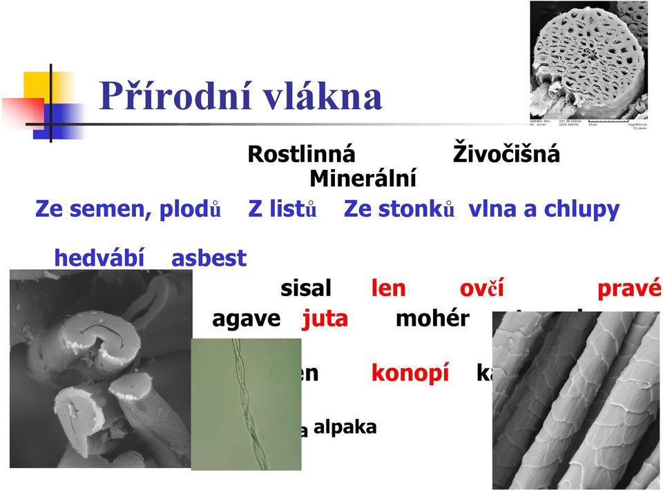 ovčí pravé kokos agave juta mohér tussah (plané) henequen konopí