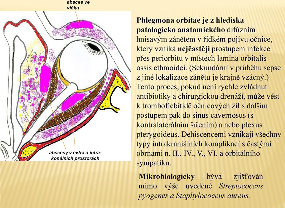 ) Tento proces, pokud není rychle zvládnut antibiotiky a chirurgickou drenáží, může vést k tromboflebitidě očnicových žil s dalším postupem pak do sinus cavernosus (s kontralaterálním šířením) a