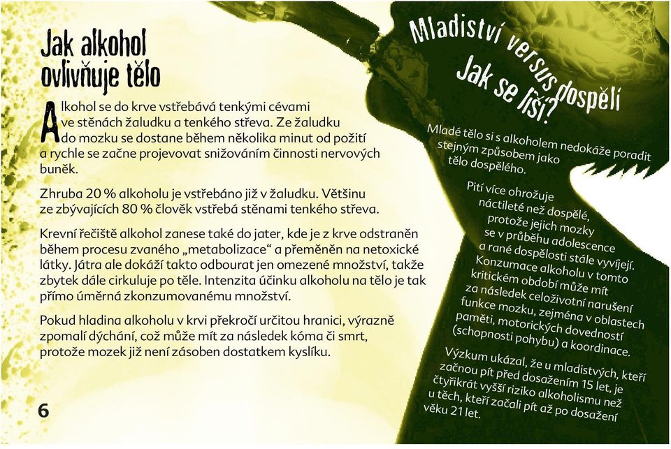 Mladé tělo si s alkoholem nedokáže poradit stejným způsobem jako tělo dospělého. Zhruba 20 % alkoholu je vstřebáno již v žaludku. Většinu ze zbývajících 80 % člověk vstřebá stěnami tenkého střeva.