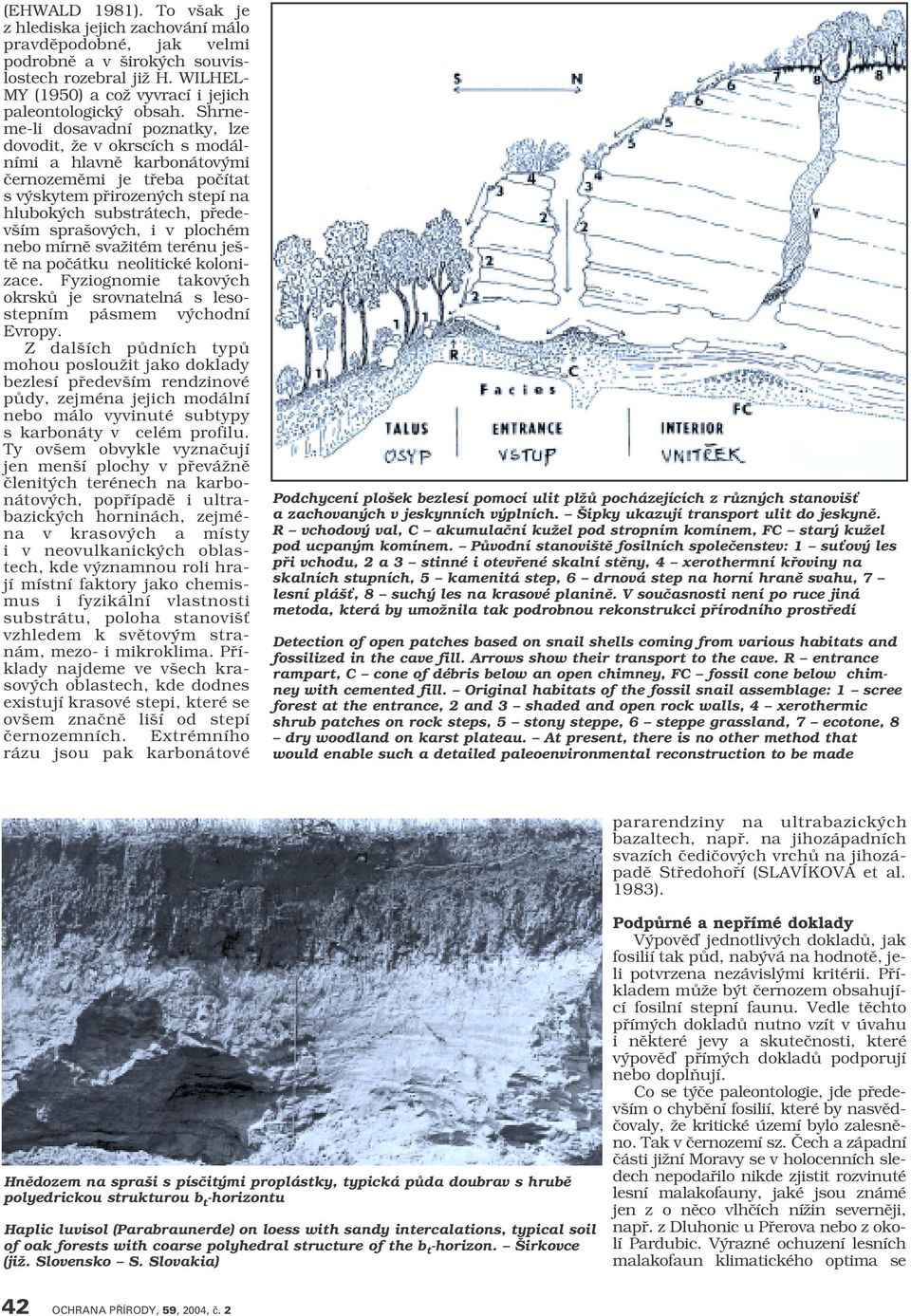 ch, i v plochém nebo mírnû svaïitém terénu je - tû na poãátku neolitické kolonizace. Fyziognomie takov ch okrskû je srovnatelná s lesostepním pásmem v chodní Evropy.