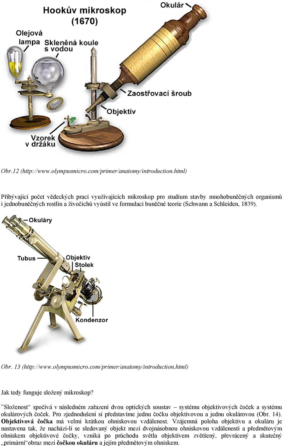 Schleiden, 1839). Obr. 13 (http://www.olympusmicro.com/primer/anatomy/introduction.html) Jak tedy funguje složený mikroskop?