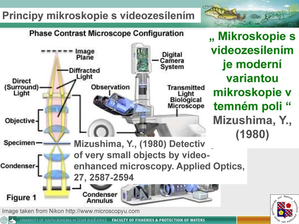 Applied Optics, 27, 2587-2594 Mikroskopie s videozesílením je moderní