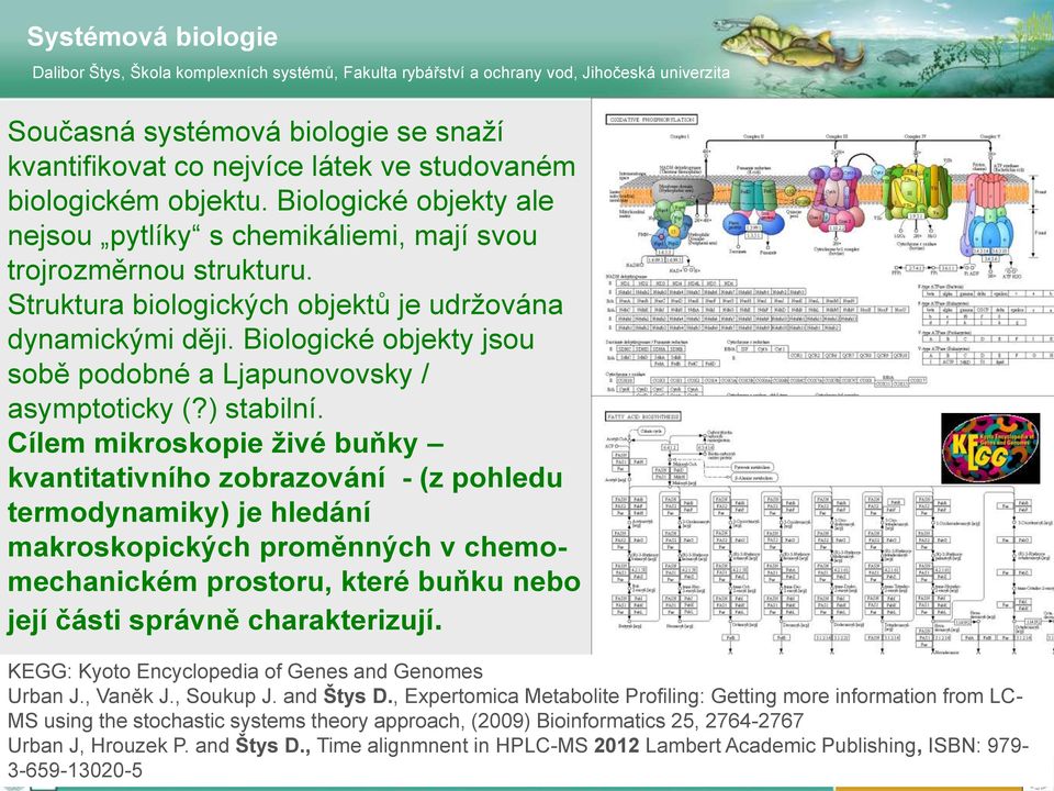 Biologické objekty jsou sobě podobné a Ljapunovovsky / asymptoticky (?) stabilní.