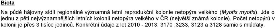 Jde o jednu z pěti nejvýznamnějších letních kolonií netopýra velkého v ČR