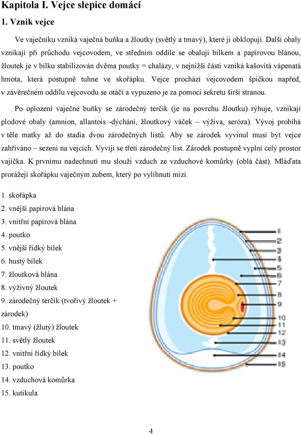 vápenatá hmota, která postupně tuhne ve skořápku. Vejce prochází vejcovodem špičkou napřed, v závěrečném oddílu vejcovodu se otáčí a vypuzeno je za pomocí sekretu širší stranou.