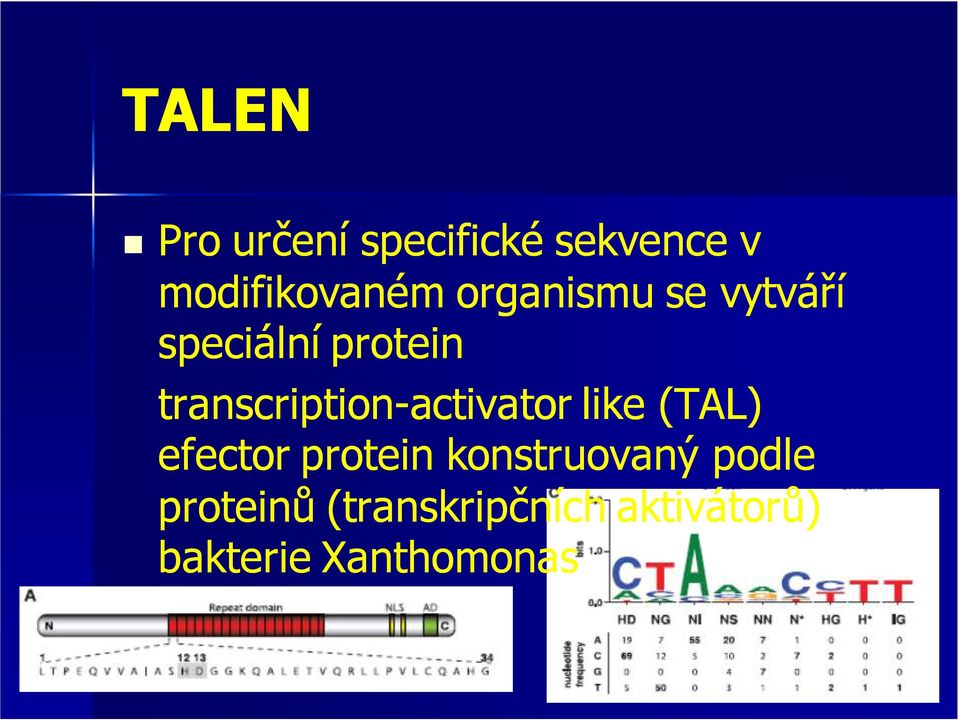 transcription-activator activator like (TAL) efector