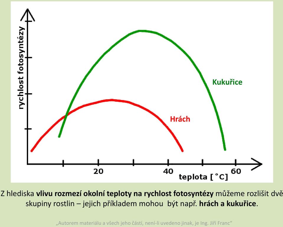 můžeme rozlišit dvě skupiny rostlin