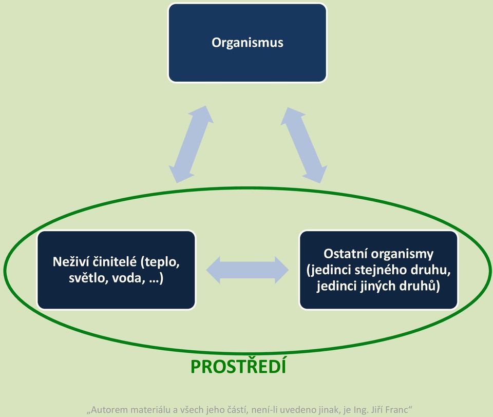 organismy (jedinci stejného