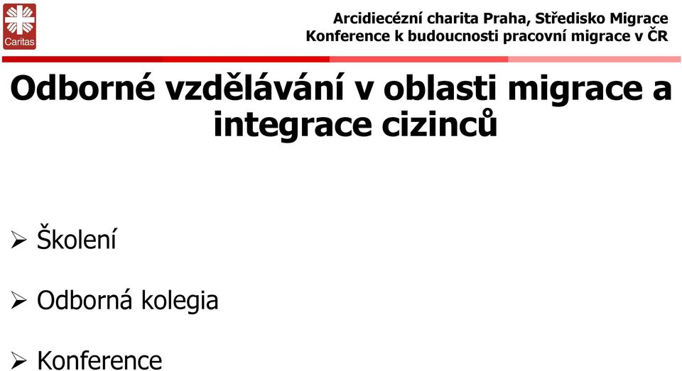 integrace cizinců