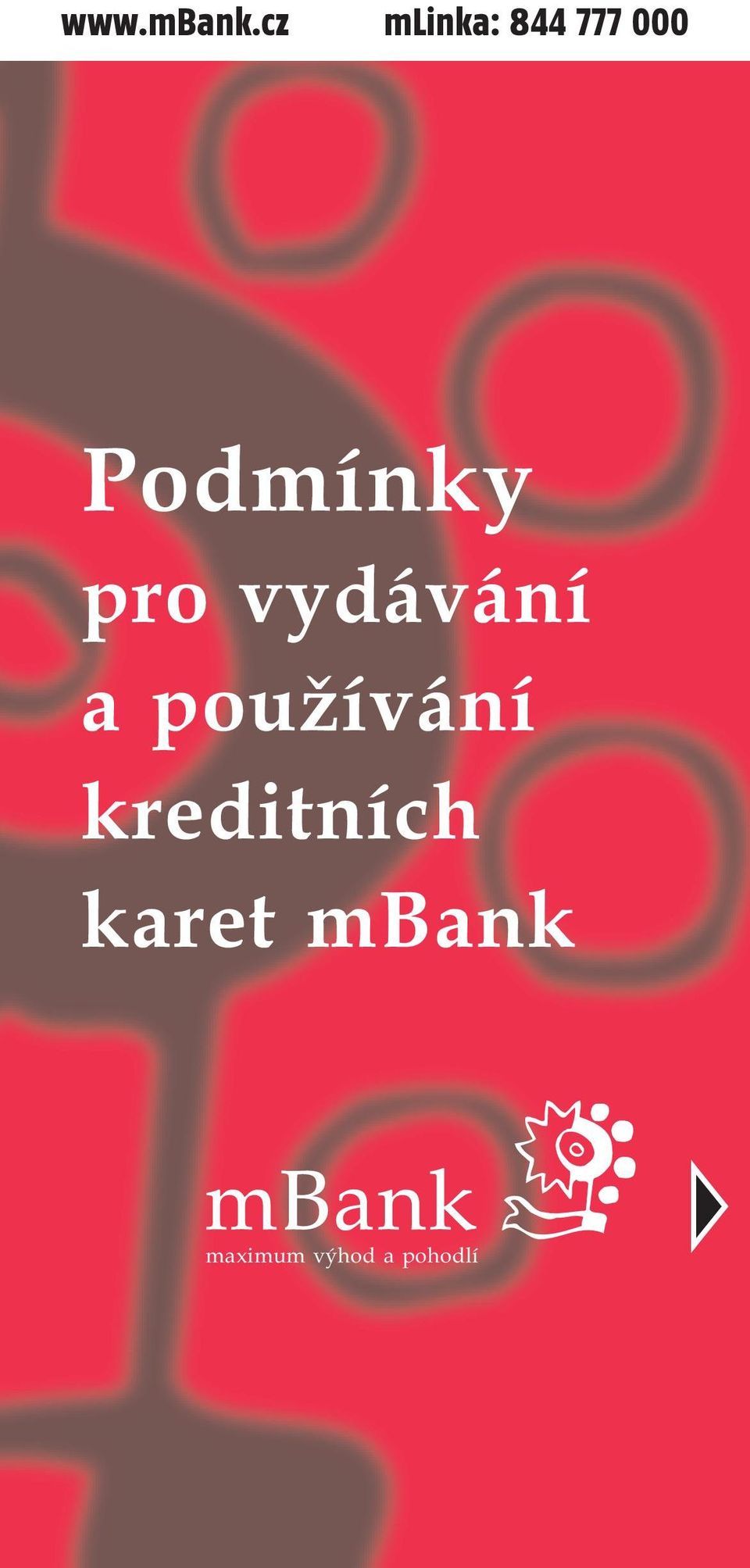 Podmínky pro vydávání a