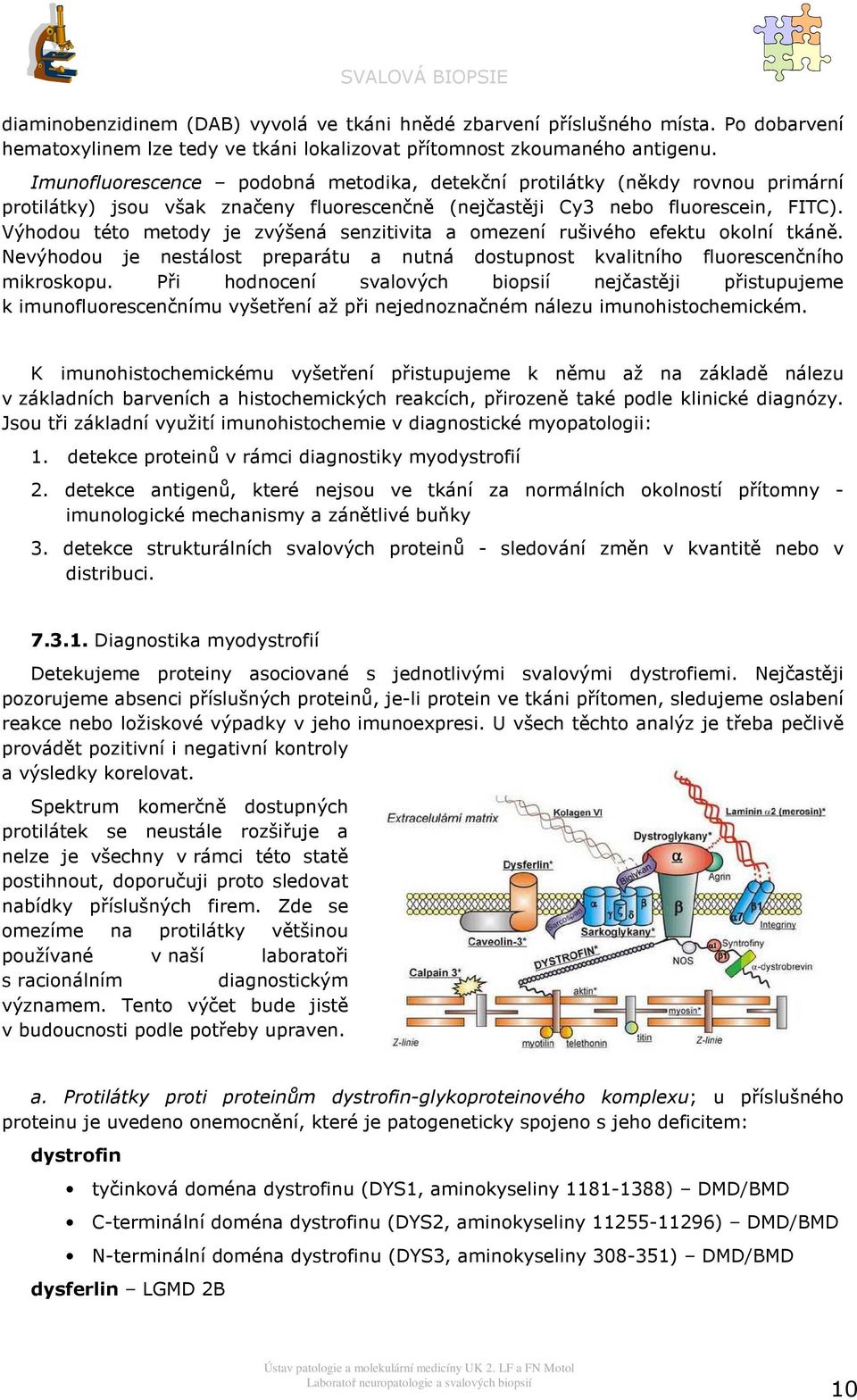 Výhdu tét metdy je zvýšená senzitivita a mezení rušivéh efektu klní tkáně. Nevýhdu je nestálst preparátu a nutná dstupnst kvalitníh flurescenčníh mikrskpu.