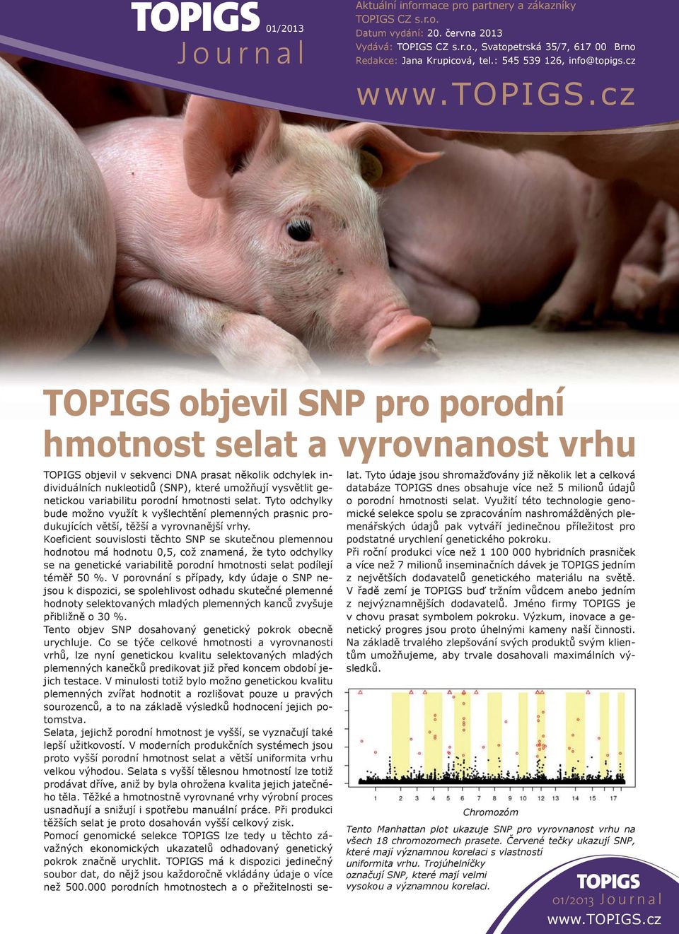 cz objevil SNP pro porodní hmotnost selat a vyrovnanost vrhu objevil v sekvenci DNA prasat několik odchylek individuálních nukleotidů (SNP), které umožňují vysvětlit genetickou variabilitu porodní